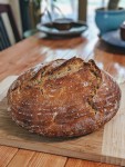 sourdough using wild apple cider yeast and bacteria
